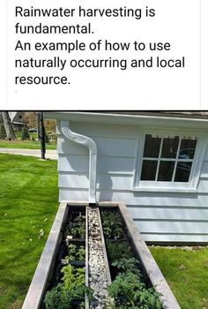 a garden bed with plants growing in it and the words rainwater harvesting is fundamental an example of how to use naturally occurring and local