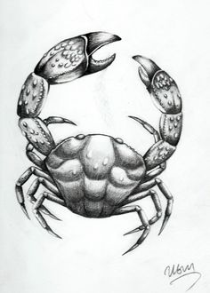 a drawing of a crab with two crabs on it's back and one is facing the