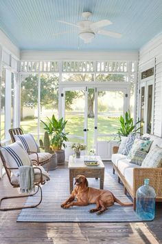 a dog laying on the floor in front of a porch with chairs and couches