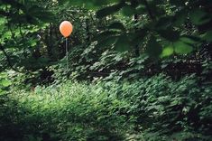 an orange balloon is floating in the air near some bushes and trees on a sunny day