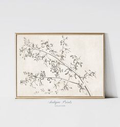 "Neutral Branch Sketch Art, Vintage Botanical Print, Horizontal Branch Drawing, Minimalist Simple Wall Art, Farmhouse Decor - PRINTABLE #671 This beautiful vintage botanical drawing is an instant and printable digital download for your home decor. A perfect painting set from 1800's to hang as kitchen decor, living room print or bedroom wall art. The neutral tones are perfectly compatible with a stylish and modern interior and create a beautiful trend look for your home.  We offer a free resizing service if you need a size not included and we are always happy to help you with any part of the process. ---ACCESSING YOUR FILES INSTRUCTIONS ----  After the checkout process, you will receive an email that your payment has processed and it will include a link to your download. Alternatively, to a Branch Drawing, Simple Wall Art, Living Room Prints, Vertical Design, Vintage Botanical Prints, Botanical Drawings, Vintage Botanical, Square Design, Print Store