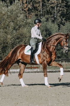 a person riding on the back of a brown horse in an arena with trees in the background