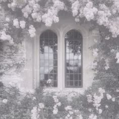 an old window with flowers growing on it