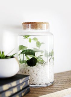 a glass jar filled with plants on top of a wooden table next to two books