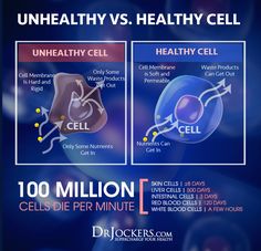 Daniel Fast: Physical and Spiritual Benefits and How To Do It Right Cellular Nutrition, Healing Diet, Healthy Microbiome, Nutrient Deficiency, Slow Metabolism, Cell Membrane, Chronic Inflammation, Autoimmune Disease, Reduce Inflammation