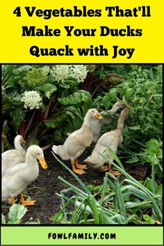 4 Vegetables That'll Make Your Ducks Quack with Joy More Veggies, Eat Healthy, Healthy Treats, Onions, Lettuce, Spinach