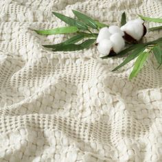 two cottons are laying on a white blanket with green leaves in the foreground