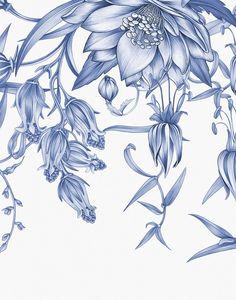 a drawing of blue flowers and leaves on a white background