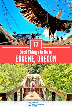 an eagle flying over a wooden bridge with the words 17 best things to do in eugene, oregon