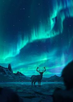 a deer standing in front of an aurora bore