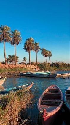 there are many small boats in the water near some palm trees and bushes on the shore