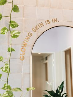 there is a mirror that says skin is in on the wall next to a potted plant