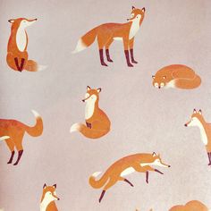 sample friendly foxes rose wallpaper from the great kids collection by galerie wallcoverings 1 Foxes Wallpaper, Friendly Fox, Boy Styles, Typical Girl, Wallpaper Rolls, Fox Print, Reaching For The Stars, Wallpaper Calculator, Kids Collection