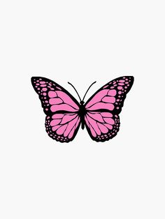 a pink butterfly on a white background