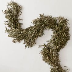 dried herbs are laid out on a white surface