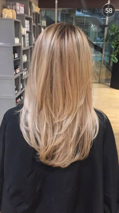 Long Soft Layers Haircut Fine Hair, Long Layered Haircuts Short Hair, Laired Haircuts, Layers Hair Medium Length, Long Layered Haircuts Back View, Blonde Layered Hair Medium Straight, Layers For Pin Straight Hair, Mini Layers Hair, Small Layers Hair