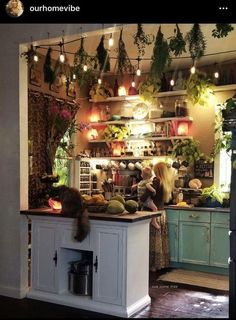 a woman standing in front of a kitchen counter next to a cat on the floor