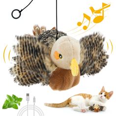 a cat laying on the ground next to a stuffed owl and musical notes hanging from strings