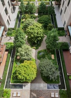 an aerial view of a courtyard with trees and plants on the ground, surrounded by buildings