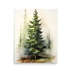 a watercolor painting of a pine tree in the woods with foggy skies behind it