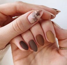 Sintético 97+ Foto Diseños De Uñas De Otoño 2021 Alta Definición November Nails Colors, Brown Nails Design, Thanksgiving Nail Designs, Thanksgiving Nail Art, Simple Fall Nails, November Nails, Fall Gel Nails, Cute Nails For Fall, Thanksgiving Nails