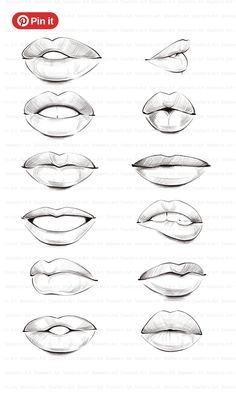 lips drawn in pencil with different shapes and sizes, all lined up to show the same amount