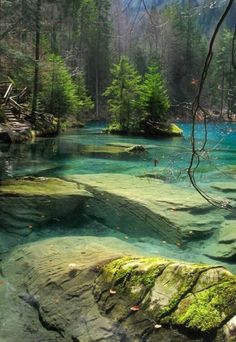 a river that is surrounded by trees and rocks in the water with green moss growing on it