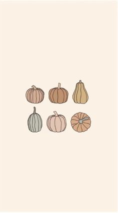 pumpkins and gourds are arranged on a beige background