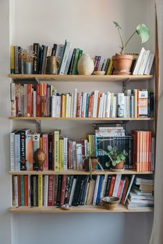 a bookshelf filled with lots of books next to a wall mounted potted plant