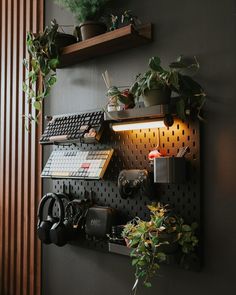 there is a wall mounted shelf with plants and other things on it in the corner