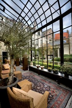 a living room filled with lots of windows and furniture next to a potted tree