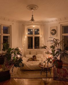 a living room filled with lots of furniture and plants on top of a wooden floor