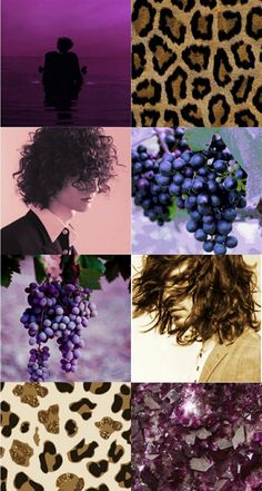 a collage of photos with different colors and patterns on them, including leopard print