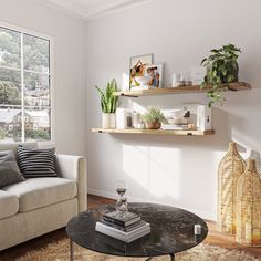 a living room with a couch, coffee table and shelves filled with potted plants