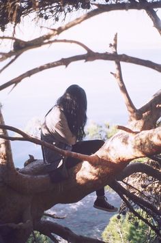 a woman sitting on top of a tree branch