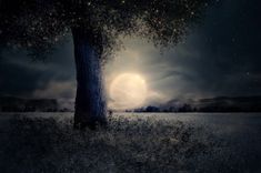 a full moon shines in the night sky over a field with trees and grass