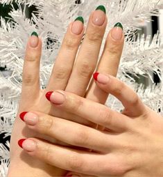 Nails Ideas For Short Nails, Medium Nails Ideas, Gel French Tip Nails, Gel French Tip, Green French Tip Nails, Green French Tip, French Tip Gel Nails, Christmas Gel, December Nails