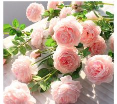 pink flowers are arranged on a white surface with the words yo cho written in english