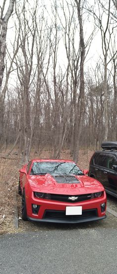 two cars parked next to each other in the woods