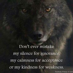 a wolf with the words don't ever mistate my science for ignorance, my calmness for accepting or my kindness for weakness