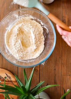 a person mixing ingredients in a bowl on top of a wooden table next to a plant