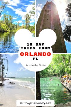 the top things to do in orlando florida