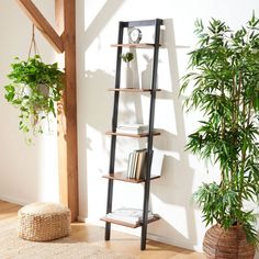 a black leaning shelf with books and plants