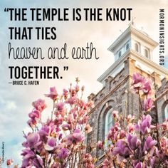 What should a marriage relationship really look like? In the current turbulent discussions surrounding marriage, the answer can be pretty hard to figure out. Fortunately, we can to look to the temple for answers. Click on this pin to go to Mormon Insights and learn more. Quotes Nature Beauty, Quotes Nature