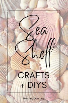 sea shell crafts and diy's