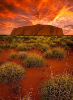 the sun is setting over aye rock in australia