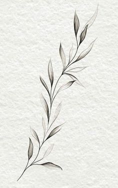 Olive Branch Tattoo, Wrap Around Tattoo, Around Arm Tattoo, Wrap Tattoo, Leaf Tattoo, Branch Tattoo