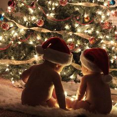 two babies in santa hats sitting next to a christmas tree with lights on the branches