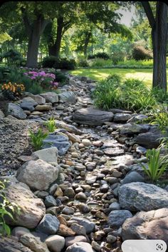 a small stream running through a lush green park