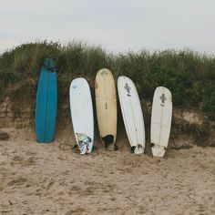 five surfboards are lined up against the sand at the beach in front of some grass